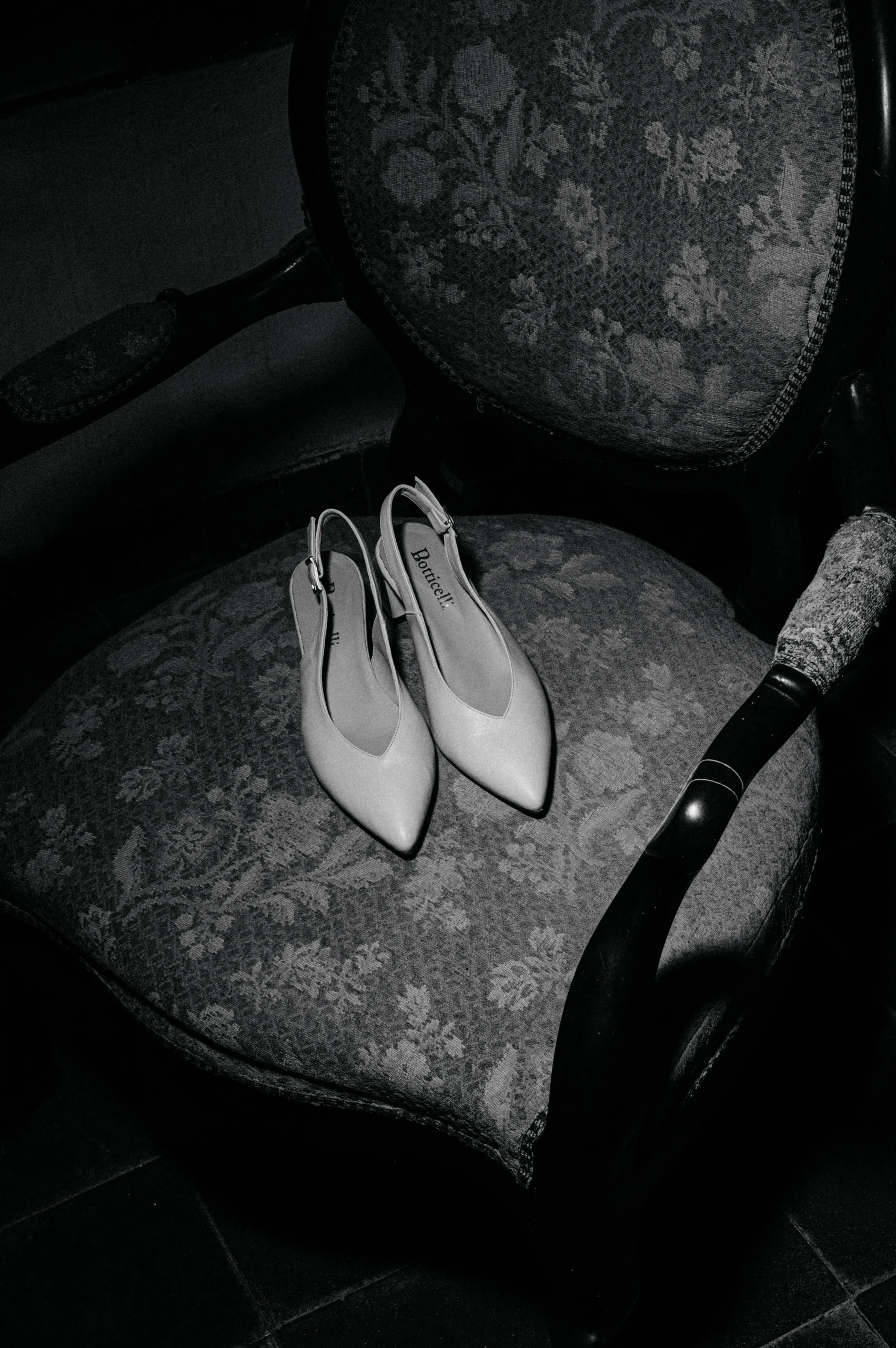 28062025-_DSC5656 copia